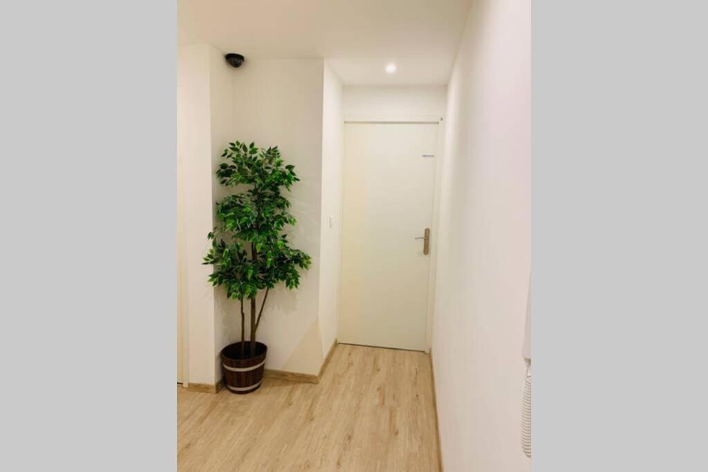Provence Appartement マノスク エクステリア 写真